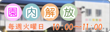 行事を見る