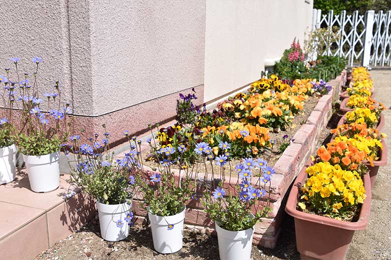 お花見