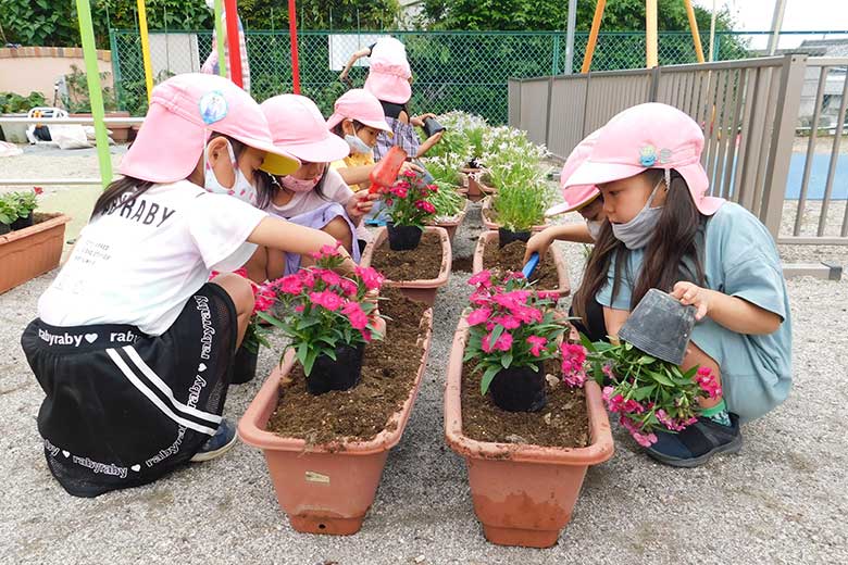 お花見