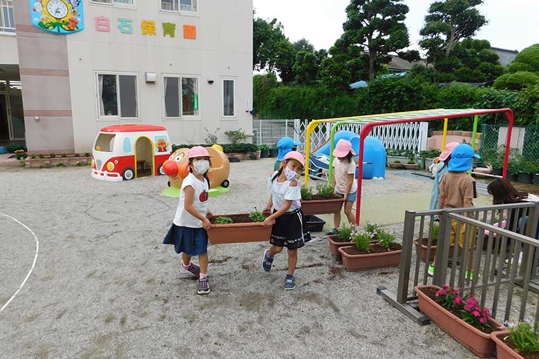 お花見