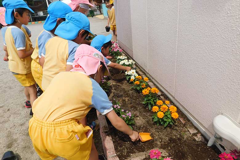 お花見