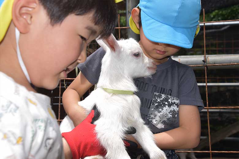 動物見学