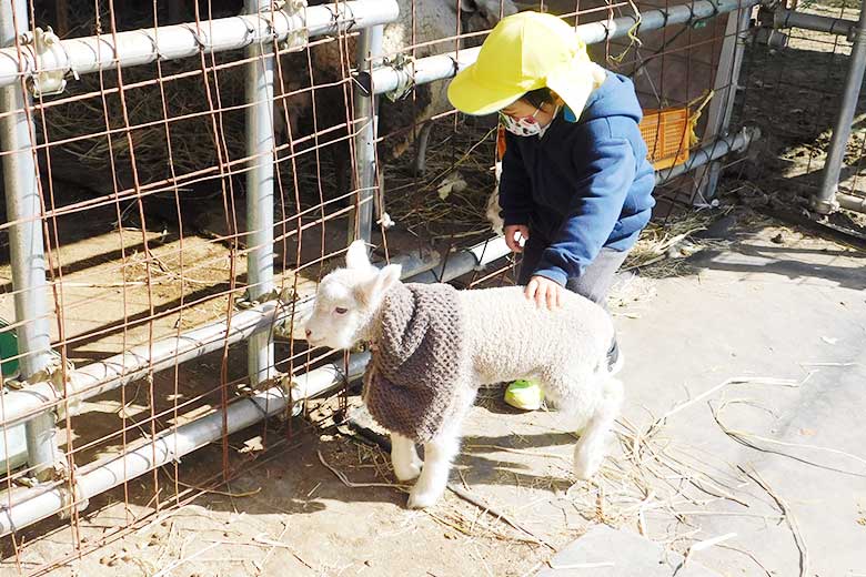 動物見学