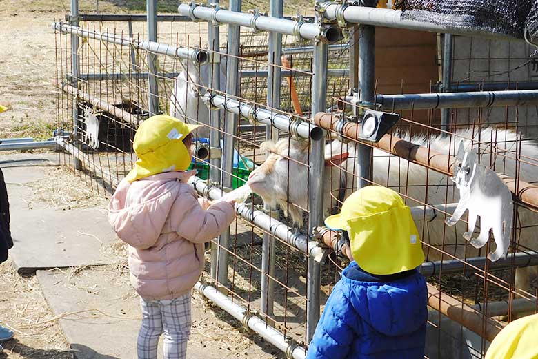 動物見学