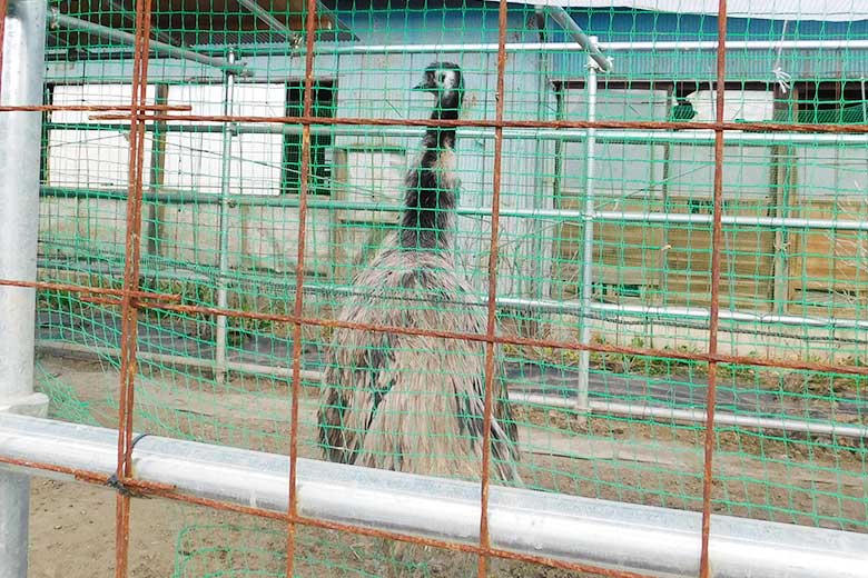 動物見学