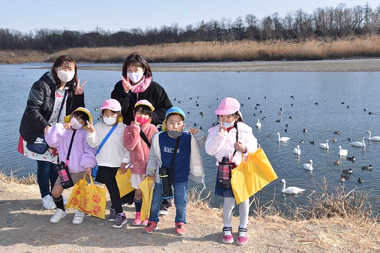 白鳥見学