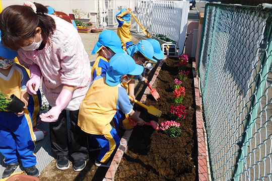 お花植え