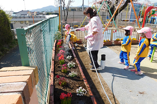 お花植え