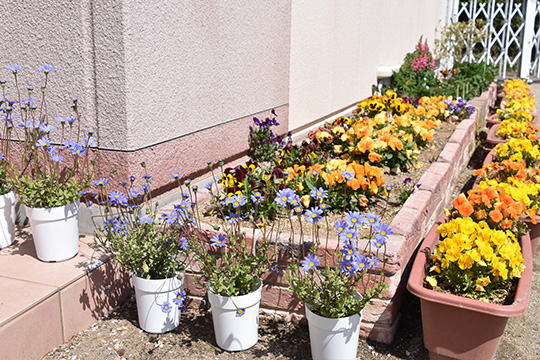 お花植え